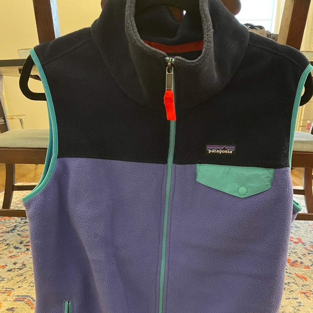 Patagonia Synchilla vest